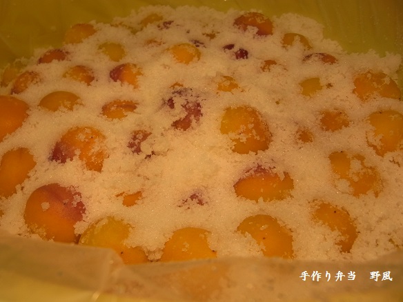 b0244034_942786.jpg