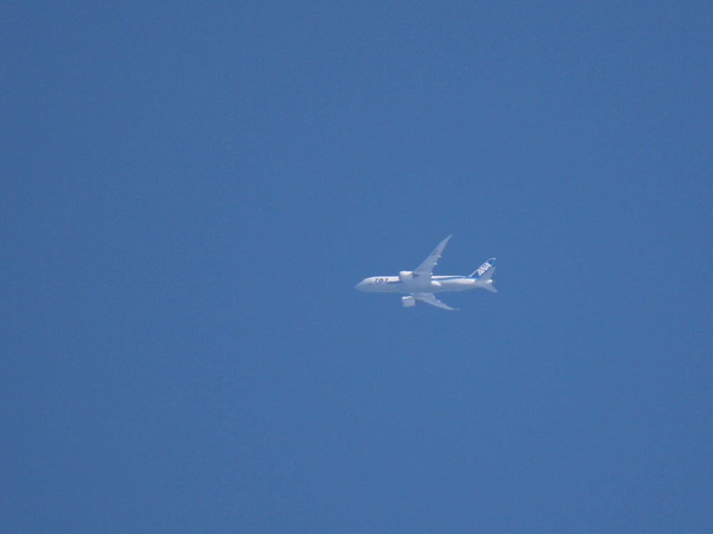 e0128144_1925778.jpg