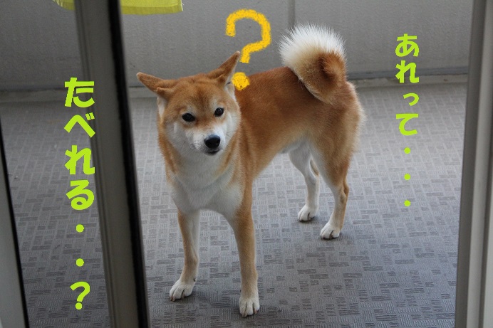 f0245650_94920100.jpg