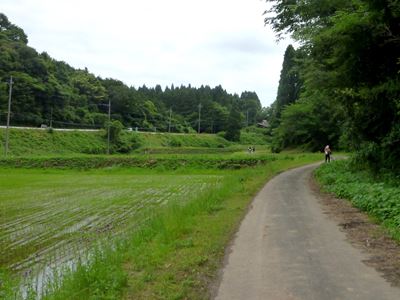 b0220251_71335.jpg