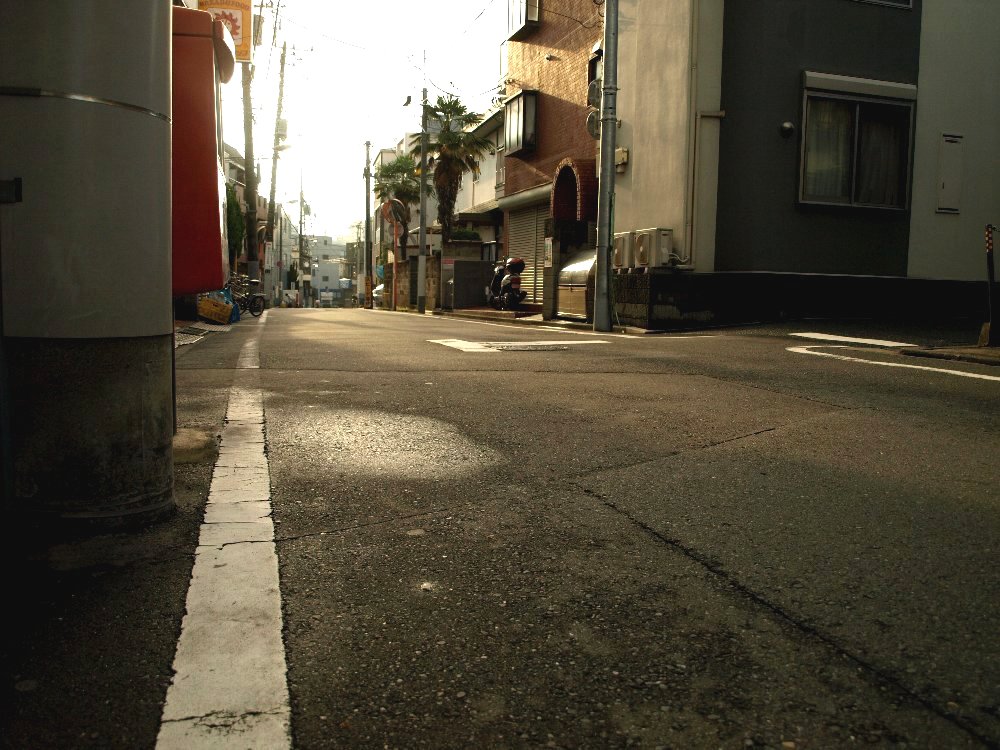 ☆久々の晴れですね☆_c0092953_1557184.jpg