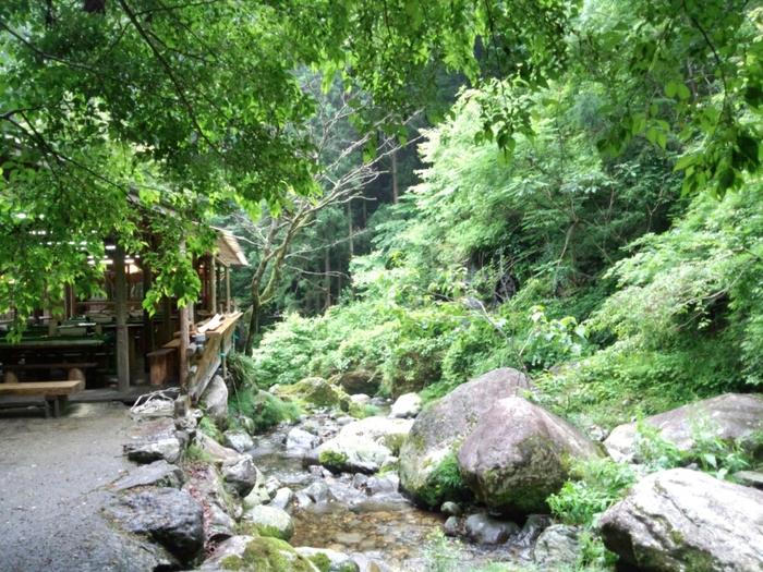 d0093462_71013.jpg