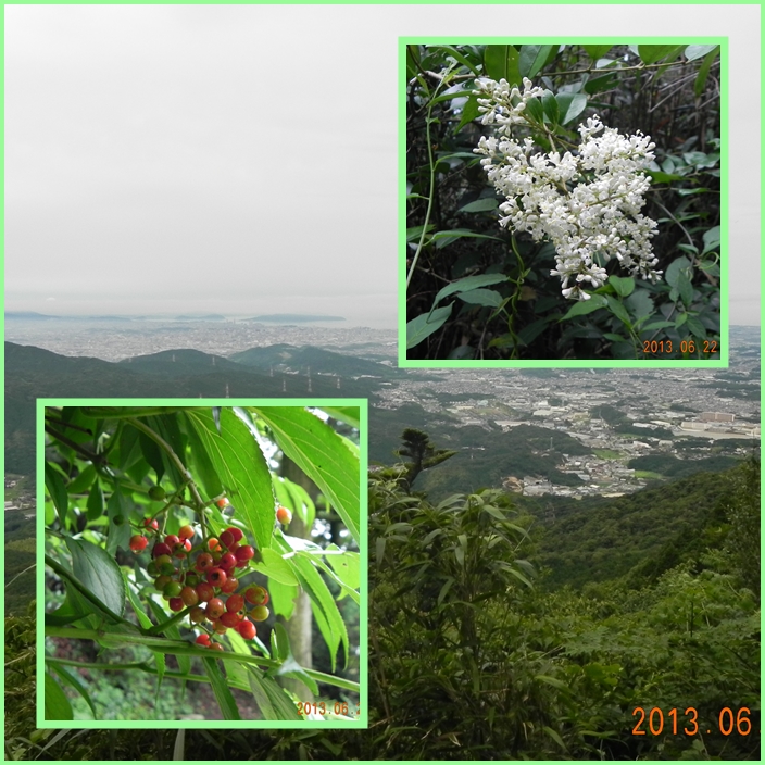 雲海棚引く宝満山。_f0016066_1812335.jpg