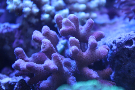 6/22_e0173381_18281517.jpg