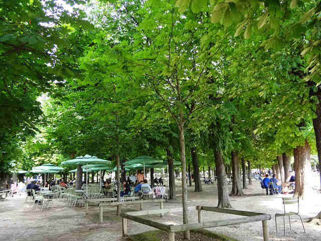 太陽のリュクサンブール公園 Jardin du Luxembourg avec le soleil_a0284783_15449.jpg