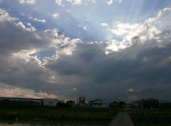 d0000995_22223435.jpg
