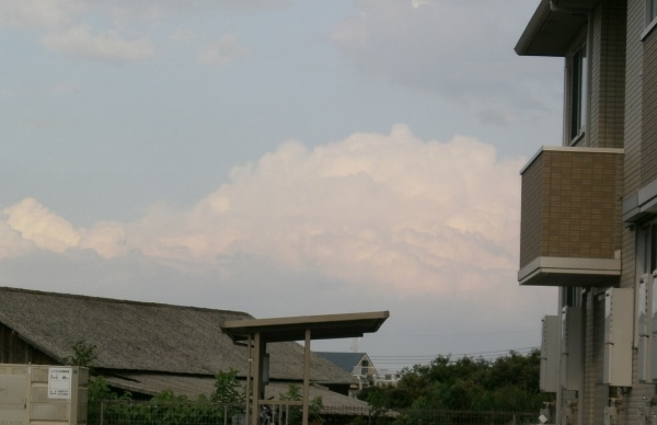 d0000995_2222647.jpg