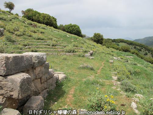 c0010496_71081.jpg