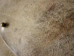 e0124597_1124230.jpg