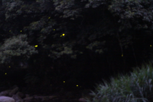 c0129498_17372.jpg