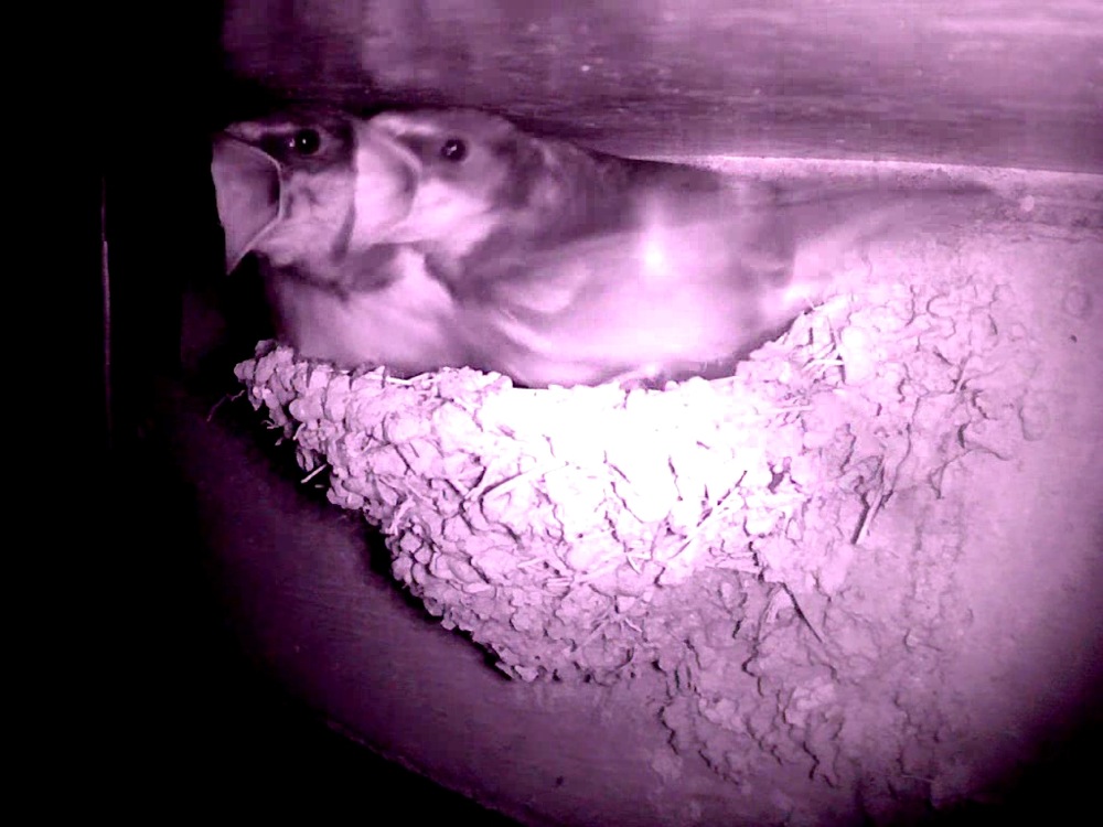 c0167798_7171662.jpg