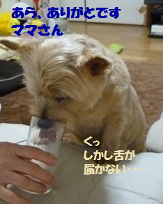a0154801_824928.png