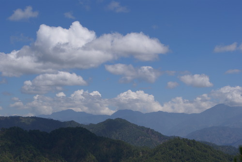 b0128901_01167.jpg