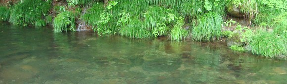 f0266202_17478.jpg