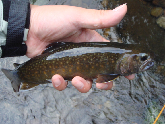 f0266202_18226.jpg