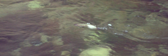 f0266202_9343669.jpg