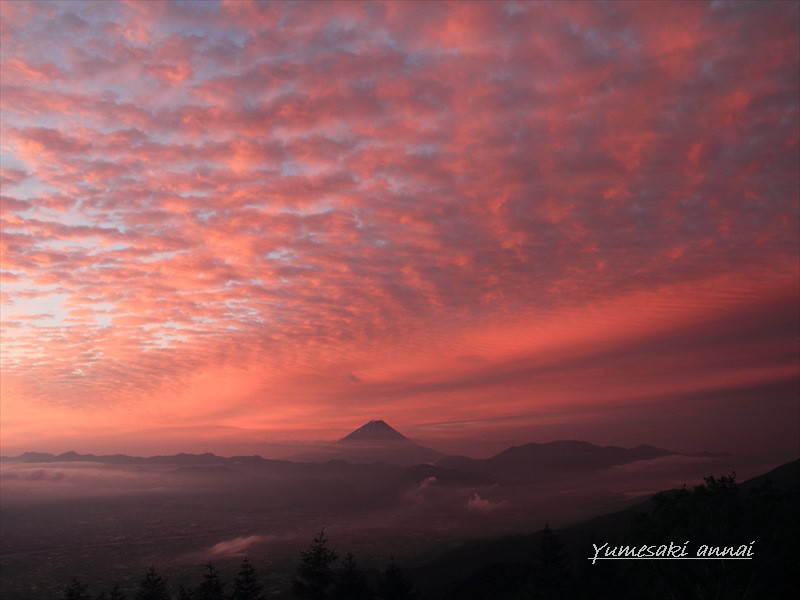 祝）富士山の世界文化遺産②_a0188405_21234113.jpg