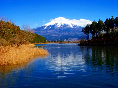 富士のおもひで ~富士山世界遺産登録記念~_d0116009_343294.jpg