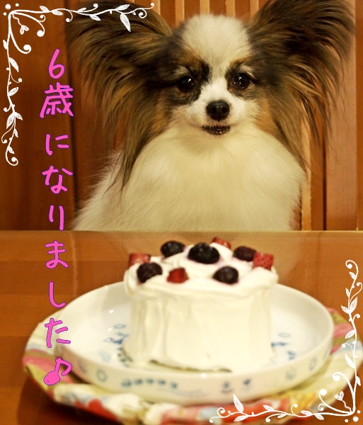 Happy Birthday_c0065512_20444558.jpg