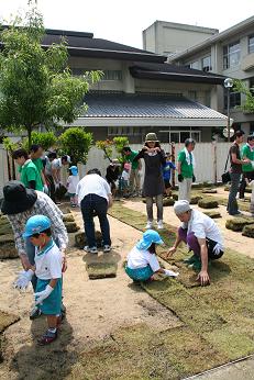 明倫幼稚園しばふプロジェクト_e0149215_16442955.jpg