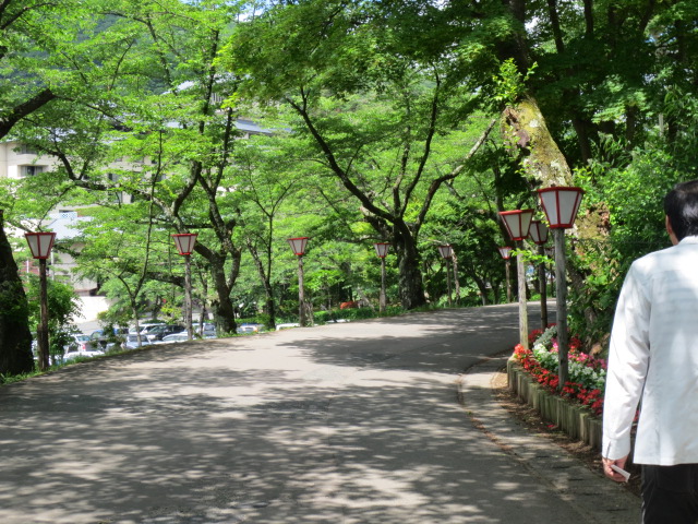 二度目の花巻温泉の旅　　その３　　薔薇・ばら・バラ　　　　_f0248616_11195026.jpg