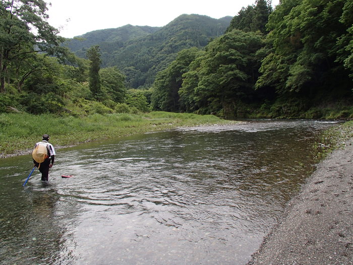 初めましての神流川(南甘地区)_d0172227_10111137.jpg