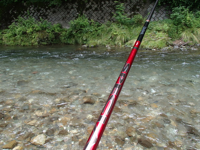 d0172227_10113639.jpg