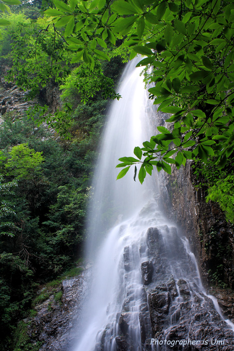 e0083238_2365132.jpg