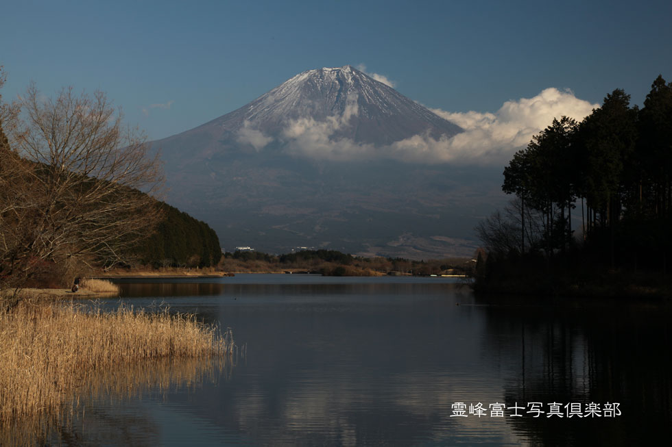 祝　富士山世界文化遺産②_d0294539_122628.jpg