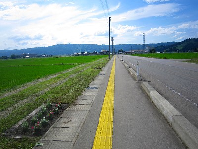 通学路の花壇整備　その３_a0251241_1719523.jpg