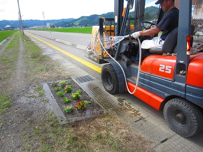 通学路の花壇整備　その３_a0251241_1795313.jpg