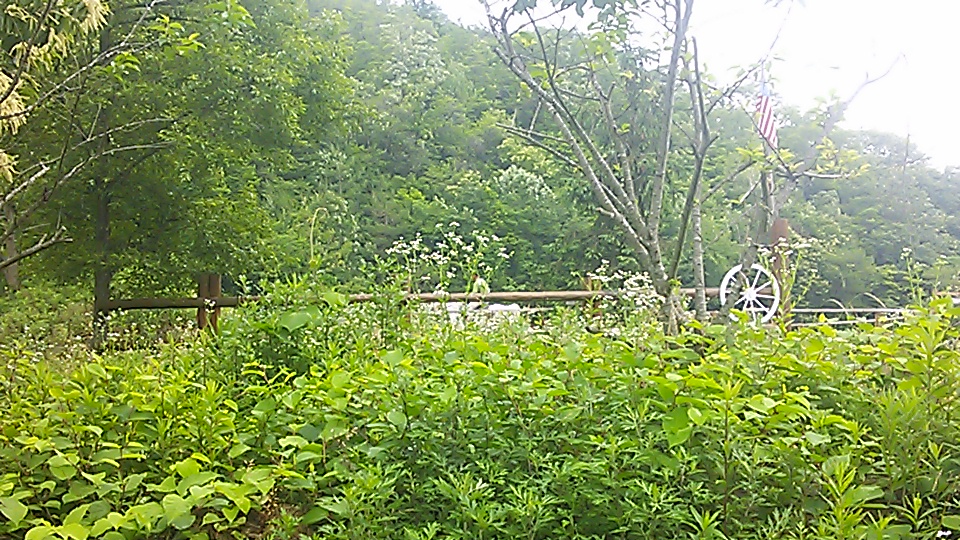 e0145441_69097.jpg