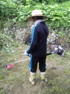 梅雨の晴れ間に…_a0272042_16365714.jpg