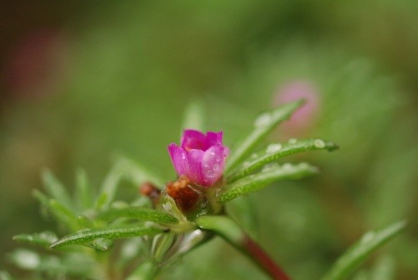 f0229844_204142.jpg