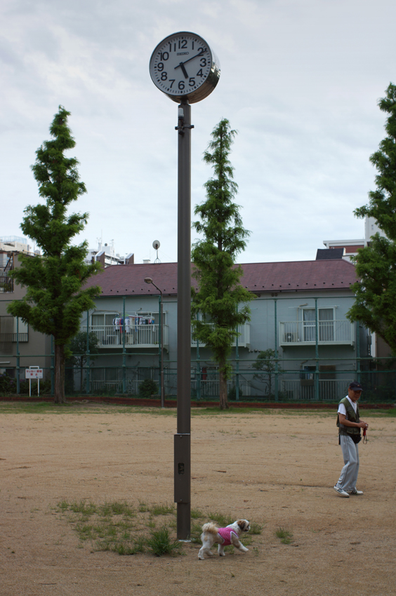 c0035245_25953.jpg