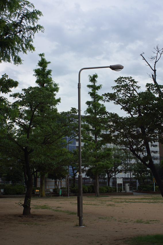 c0035245_31438.jpg