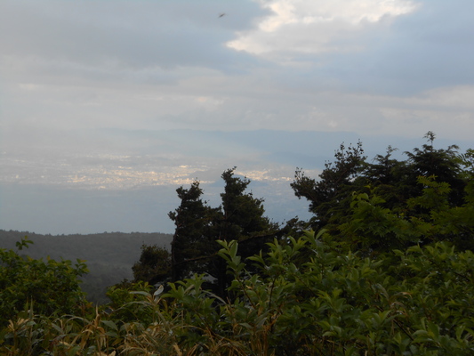c0261447_2453082.jpg