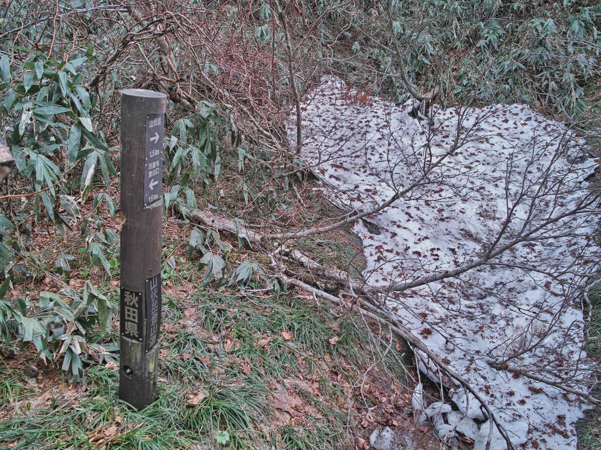 泥湯温泉-小安岳-高松岳-山伏岳-川原毛地獄_c0008948_16431363.jpg