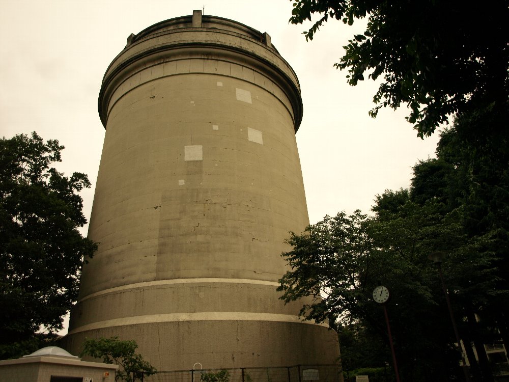 ☆ヒメの命日。公園をはしご☆_c0092953_16493881.jpg