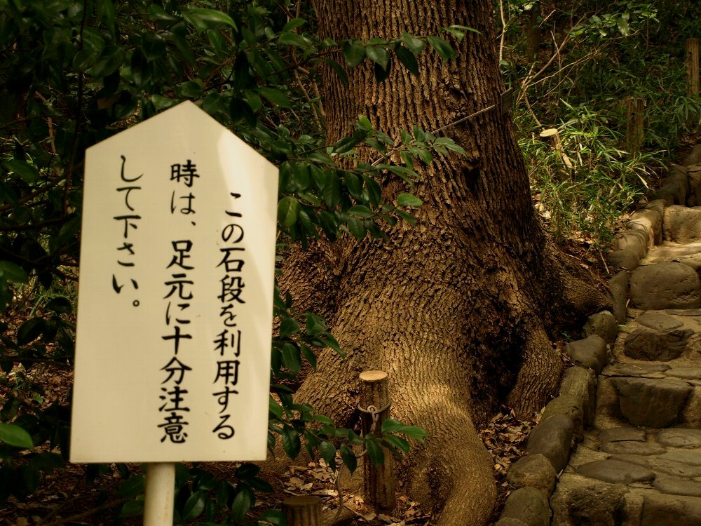 ☆ヒメの命日。公園をはしご☆_c0092953_17253896.jpg