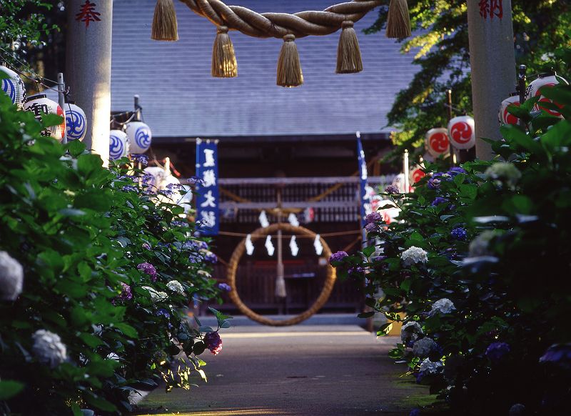 f0169053_19111847.jpg