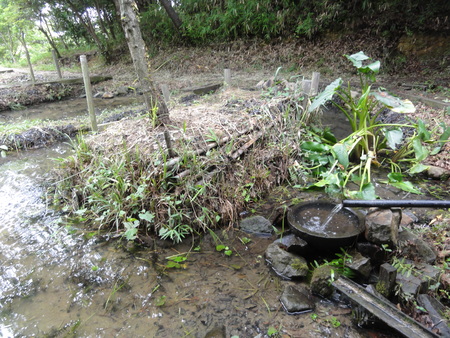 ビオトープの水漏れ補修　　in　　うみべの森_c0108460_226698.jpg