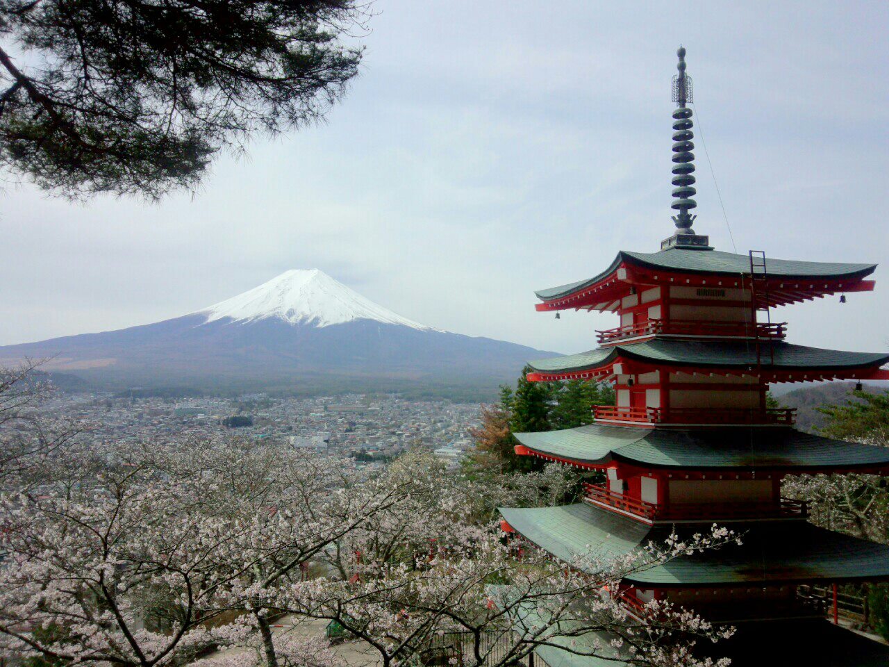日本の富士山から世界の富士山へ!_b0151362_0231524.jpg