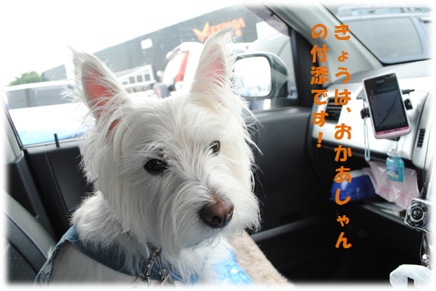 b0242873_036258.png