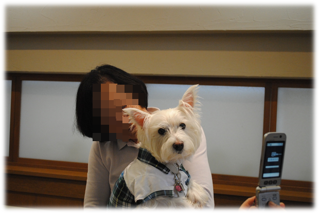 b0242873_0364228.png