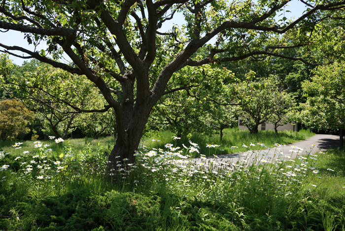 平岡公園_c0182775_20131359.jpg