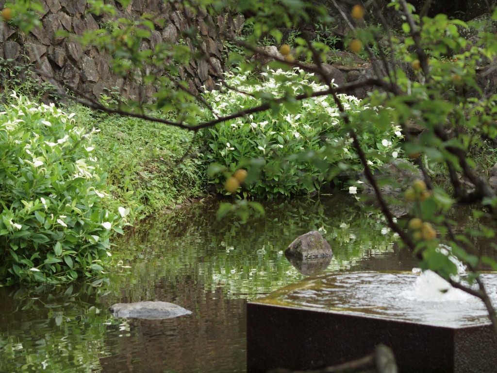d0054276_2052176.jpg