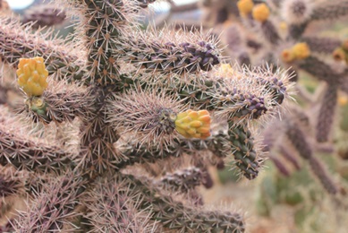 e0203477_1523069.jpg