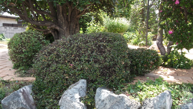 c0212083_2237234.jpg