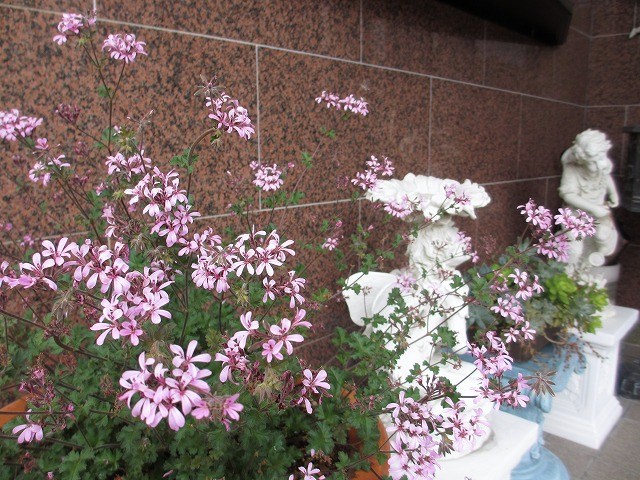 b0182884_4571679.jpg